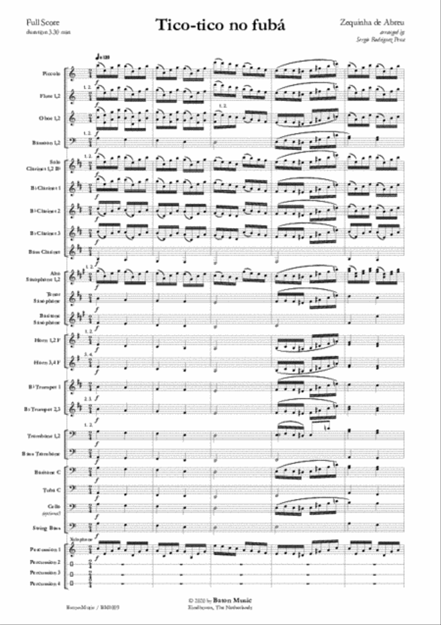 Tico-tico no fubá Concert Band scores gallery preview page 2