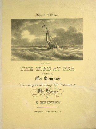Book cover for The Bird at Sea