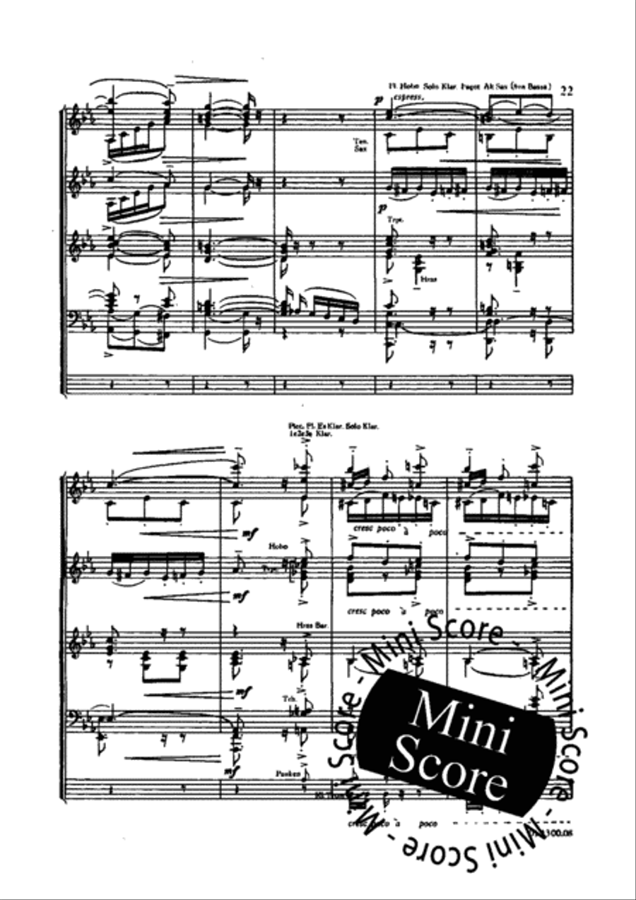 Spaans Nederlandse Dans Concert Band scores gallery preview page 25