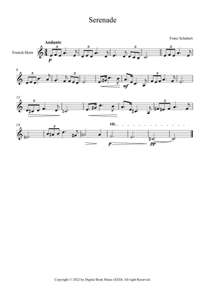 Serenade - Franz Schubert (French Horn)