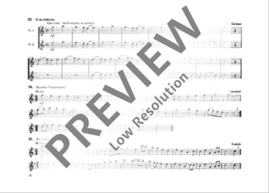 Enjoy the Recorder Alto Recorder scores gallery preview page 13
