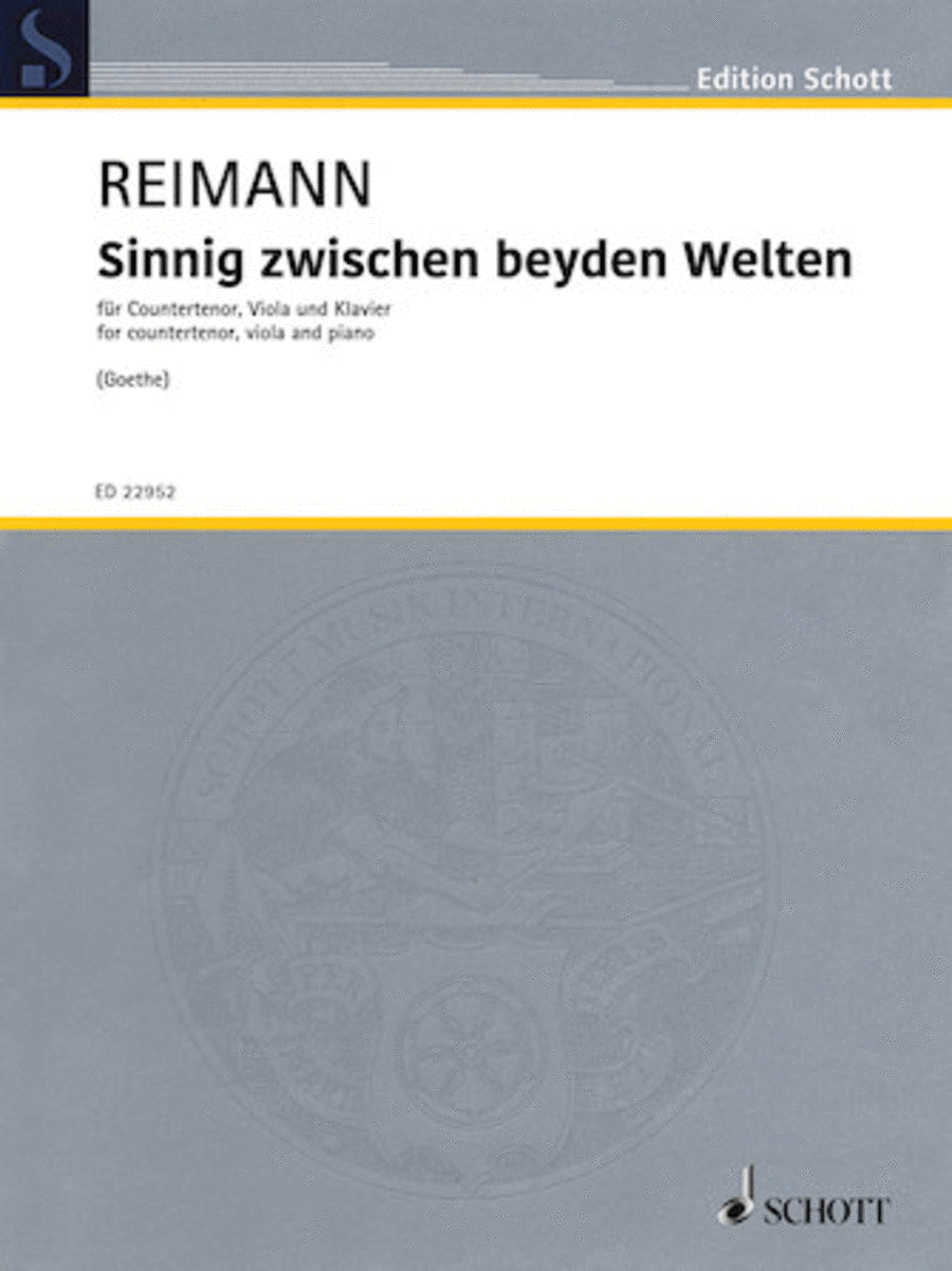 Book cover for Sinnig Zwischen Beyden Welten