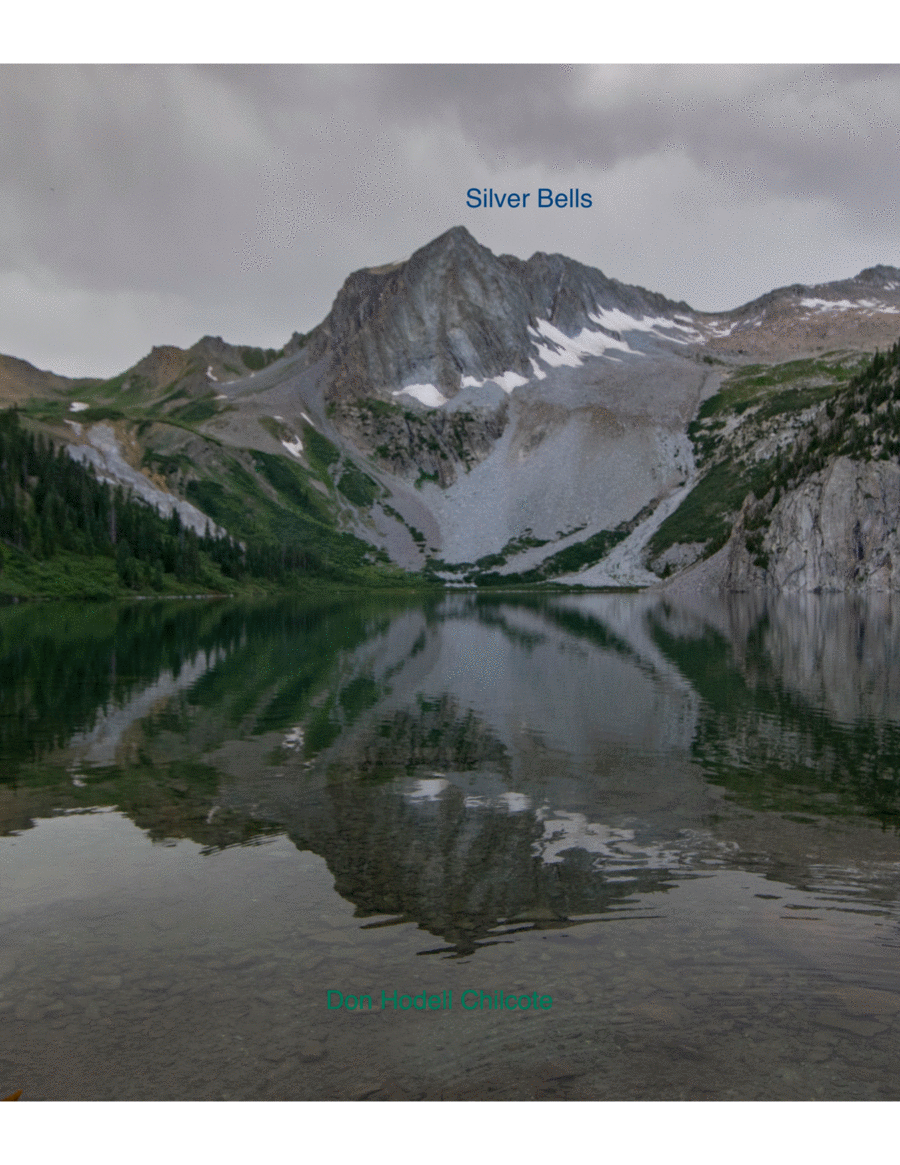 Book cover for Silver Bells