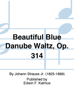 Book cover for Beautiful Blue Danube Waltz, Op. 314