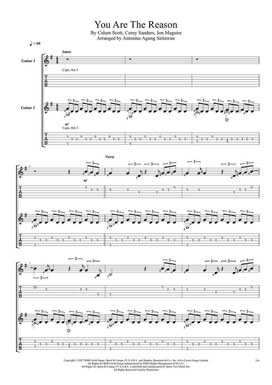 You Are The Reason Acoustic Guitar scores gallery preview page 1
