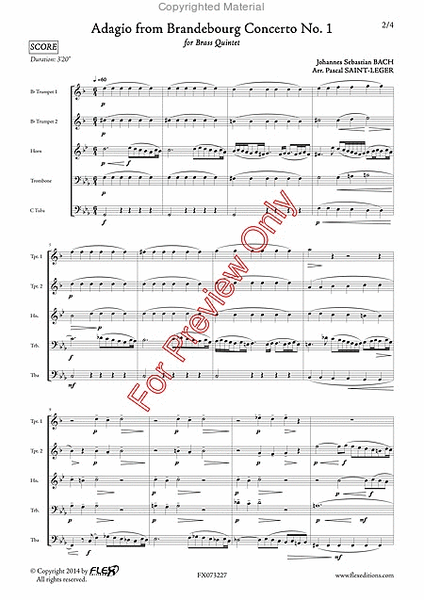 Adagio From Brandebourg Concerto No. 1 image number null