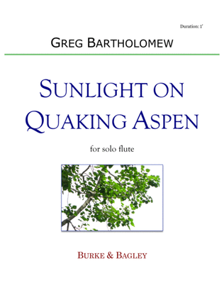 Book cover for Sunlight on Quaking Aspen for solo flute