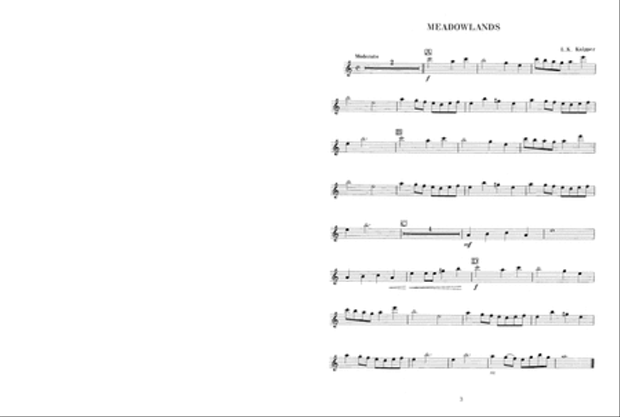 Solos for Festival and Fun - Flute Flute Solo scores gallery preview page 4