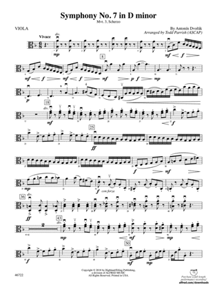 Symphony No. 7 in D Minor: Viola