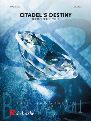 Book cover for Citadel's Destiny