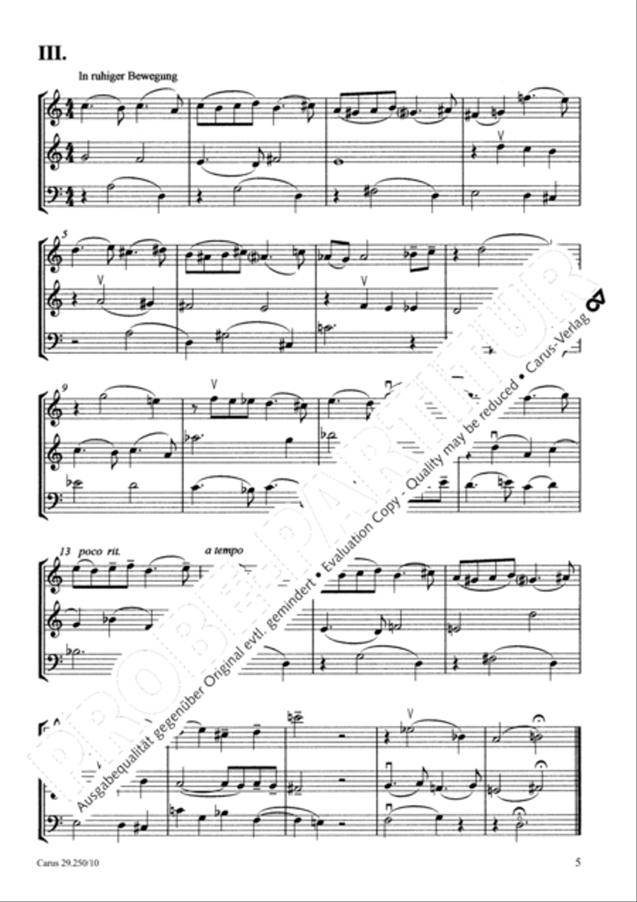 Kleine Trios BoWV 250.1 Performance Score scores gallery preview page 8