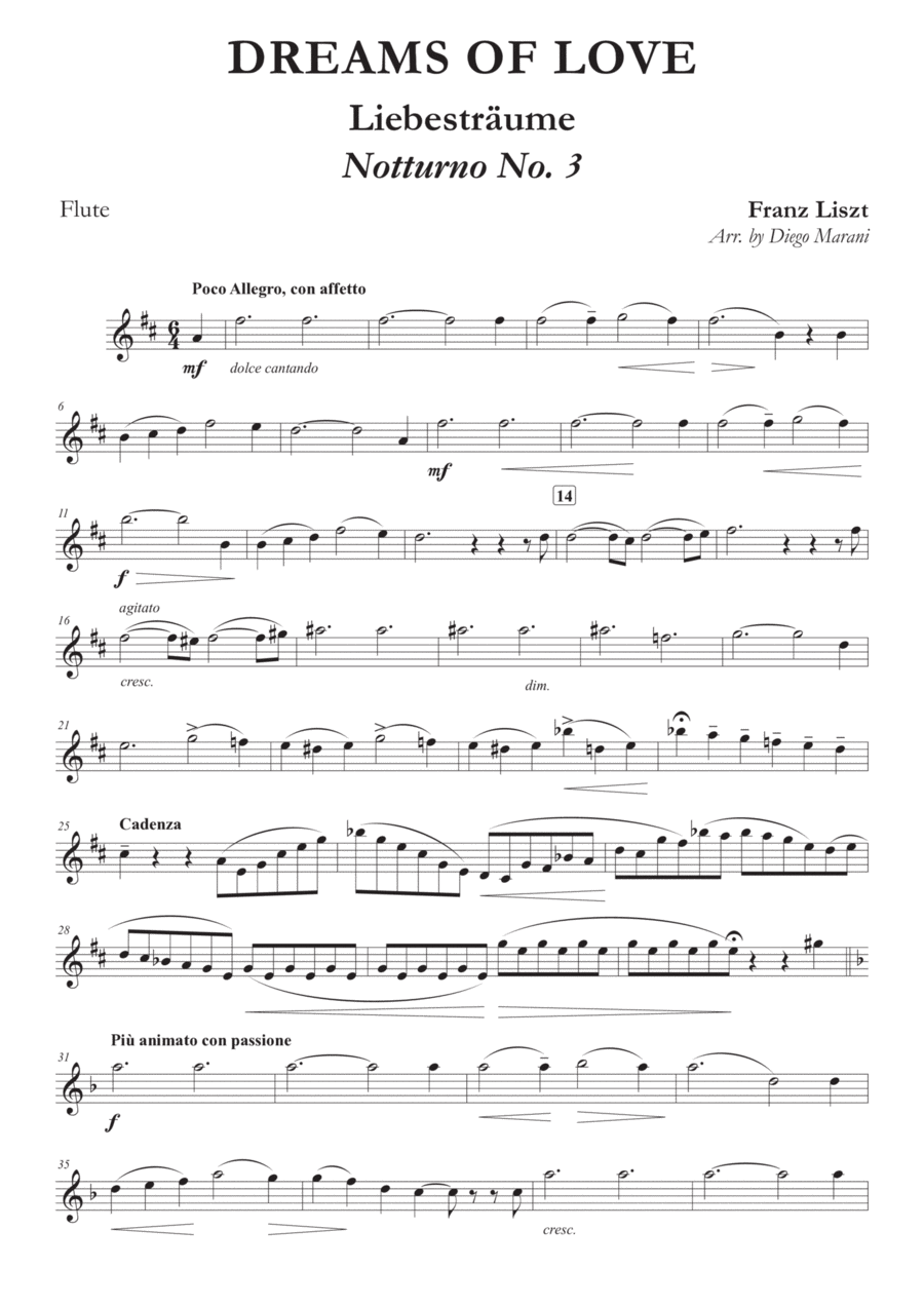 Dreams of Love No. 3 for Flute and Piano Flute Solo scores gallery preview page 1