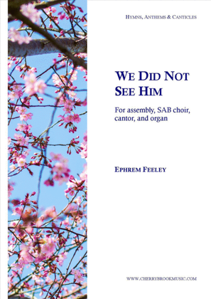 Book cover for We Did Not See Him