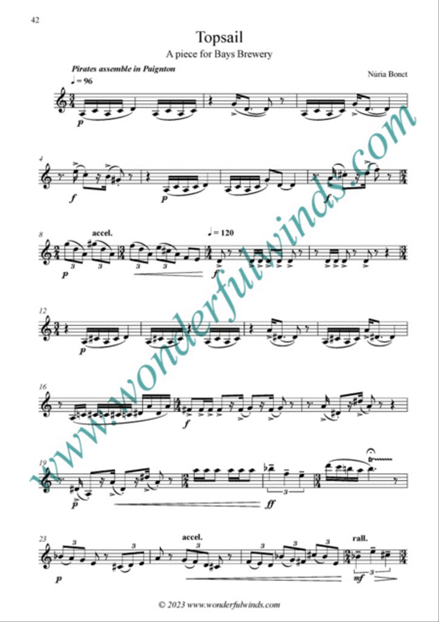 Ten Devon Pints B-Flat Clarinet scores gallery preview page 10