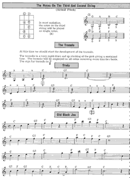 Tenor Banjo Melody Chord Playing System