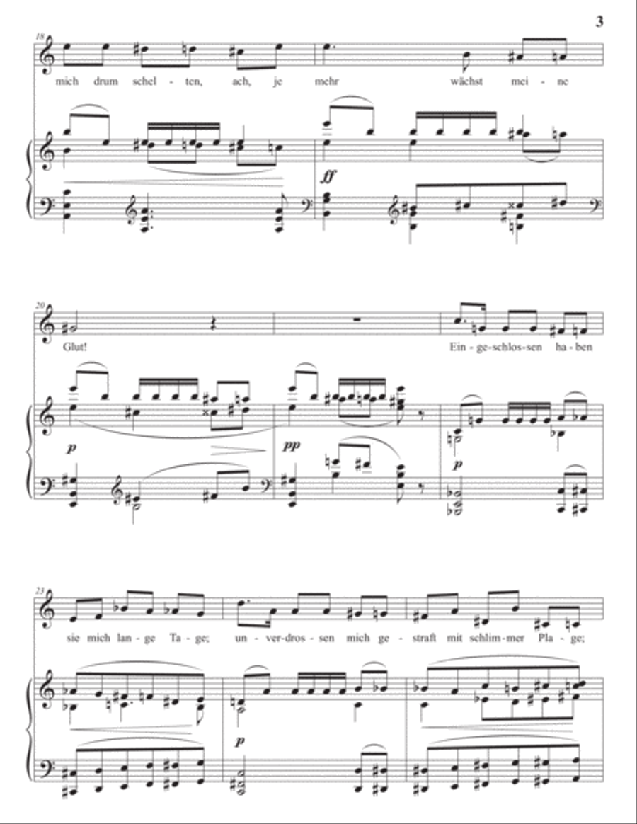 WOLF: Sagt ihm, dass er zu mir komme (transposed to A minor) Voice scores gallery preview page 4
