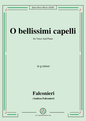 Book cover for Falconieri-O bellissimi capelli,in g minor,for Voice and Piano