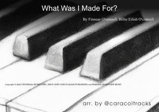 Book cover for What Was I Made For?