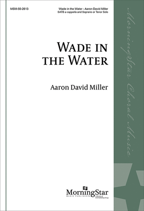 Wade In the Water