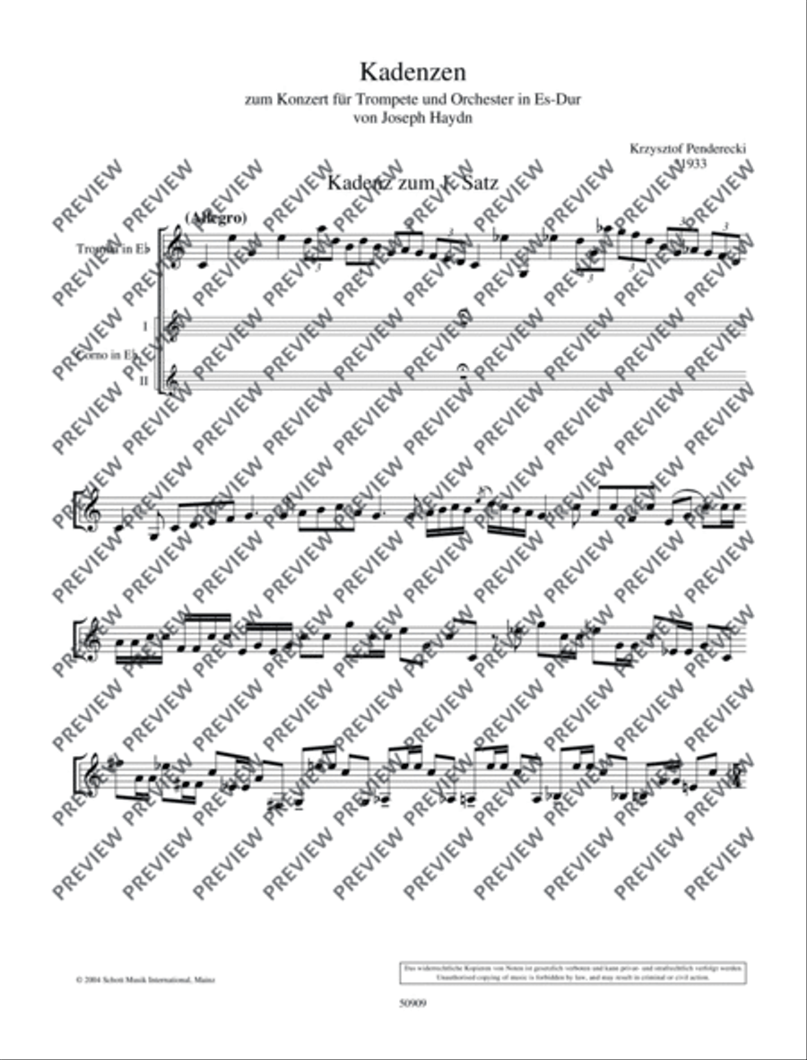 Cadenzas Solo Part scores gallery preview page 9