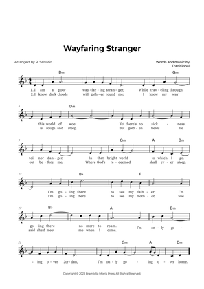 Book cover for Wayfaring Stranger (Key of D Minor)