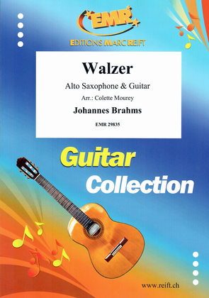Book cover for Walzer