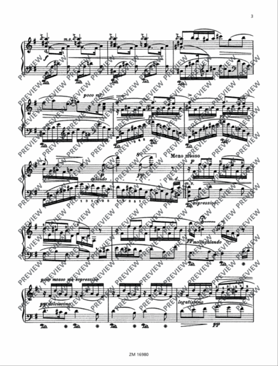 Vergessene Weisen (Forgotten Melodies) Piano Solo scores gallery preview page 4
