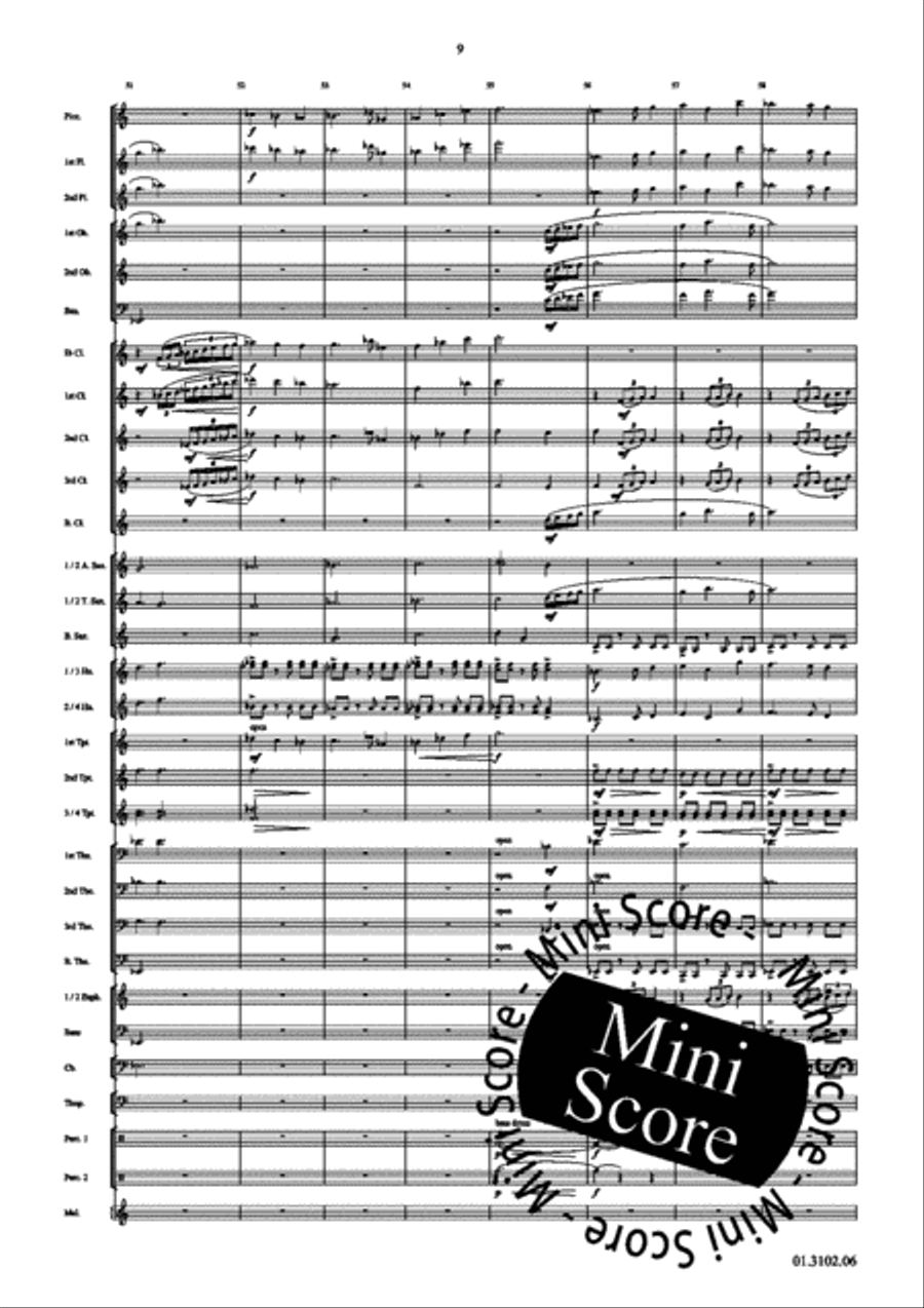 Draco Concert Band scores gallery preview page 13