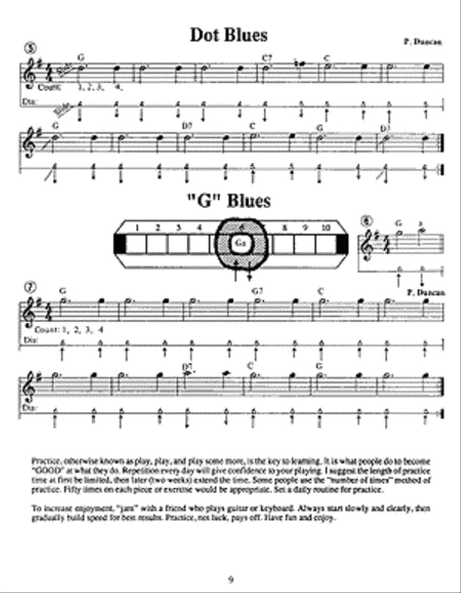 Blues on sale harp songbook