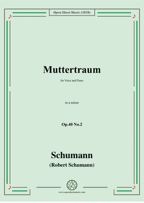 Book cover for Schumann-Muttertraum Op.40 No.2,in a minor