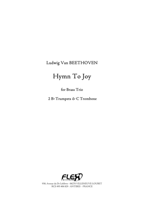 Book cover for Hymn to Joy