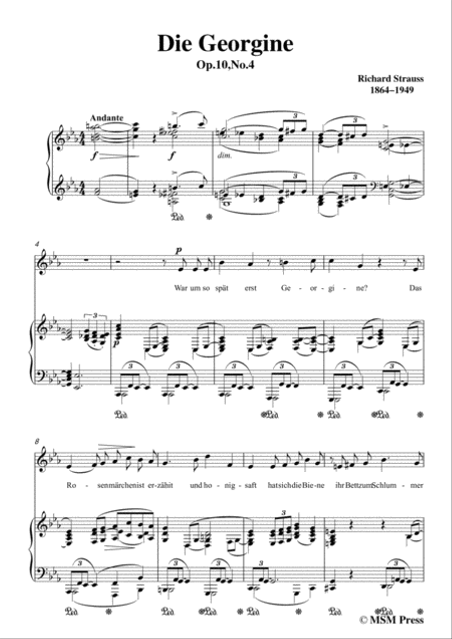 Richard Strauss-Die Georgine in c minor,for Voice and Piano Voice Solo scores gallery preview page 3