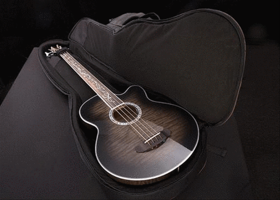 Acoustic Bass Guitar Gig Bag Double Bass scores gallery preview page 3
