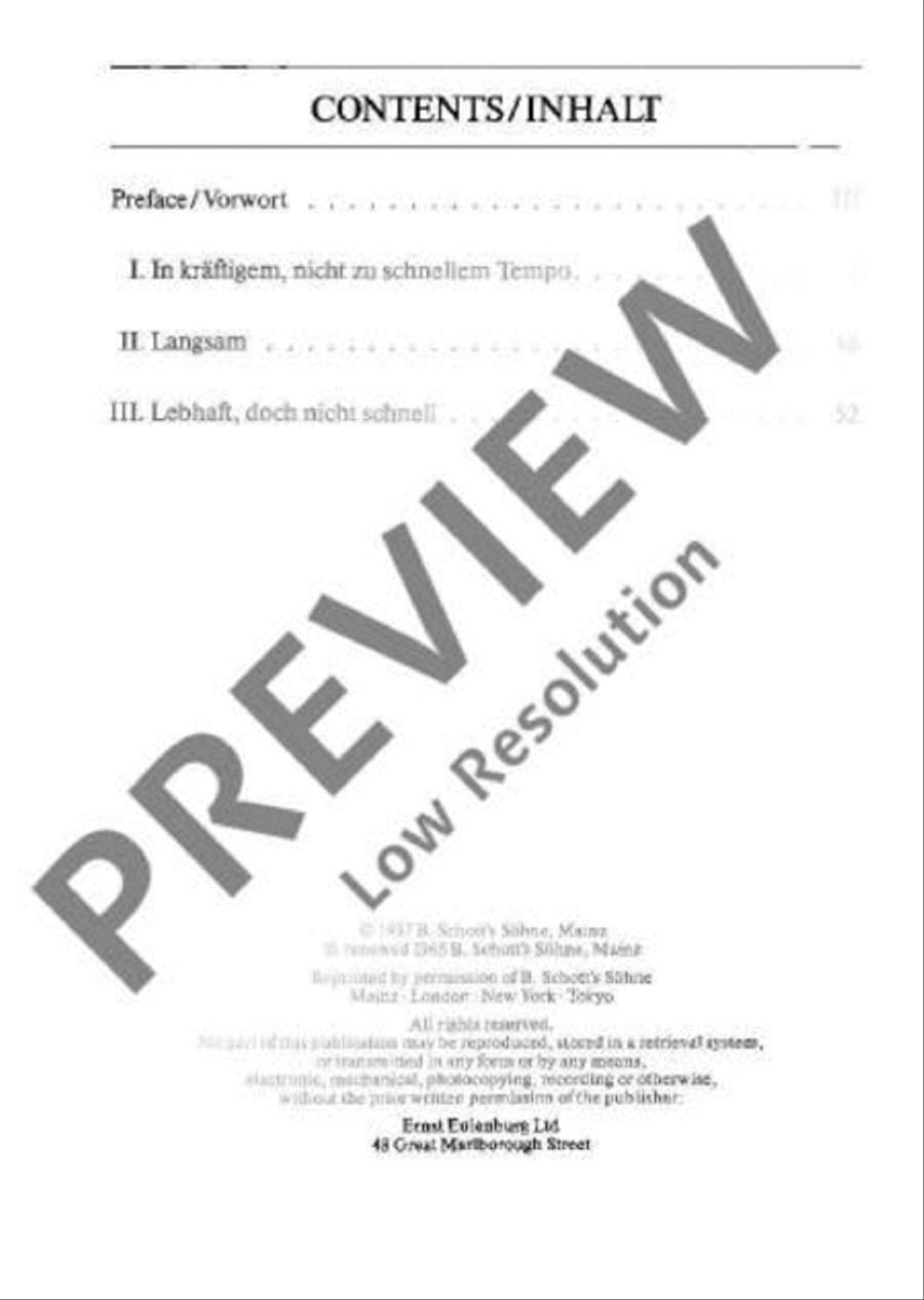 Concerto D Minor Orchestra scores gallery preview page 3