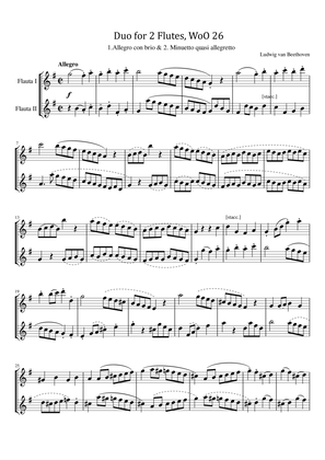Beethoven - Duo for 2 Flutes, WoO 26 in G Major - Full Original