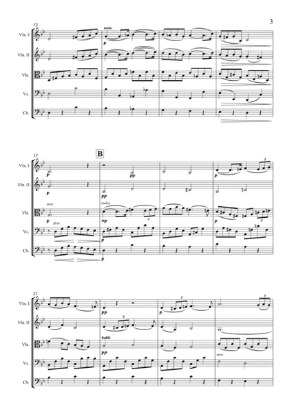 Pavane Op. 50 for String Orchestra image number null
