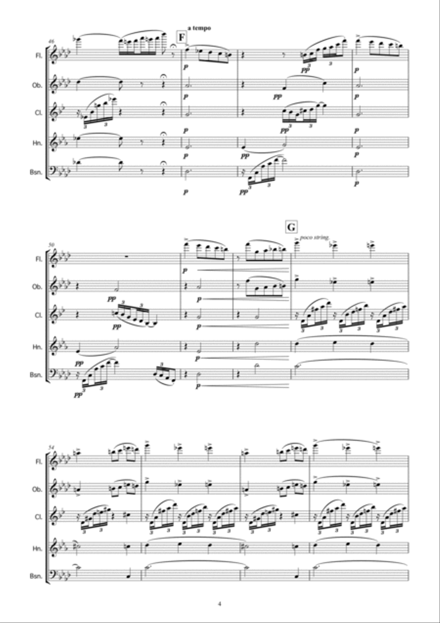 Tchaikovsky: THE SEASONS op.37 No.1 January (By the Hearth) Woodwind Quintet scores gallery preview page 6