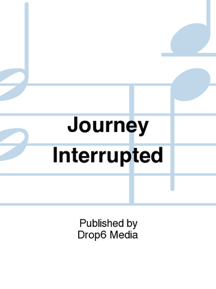 Journey Interrupted (A Fork in the Road/Excursions)
