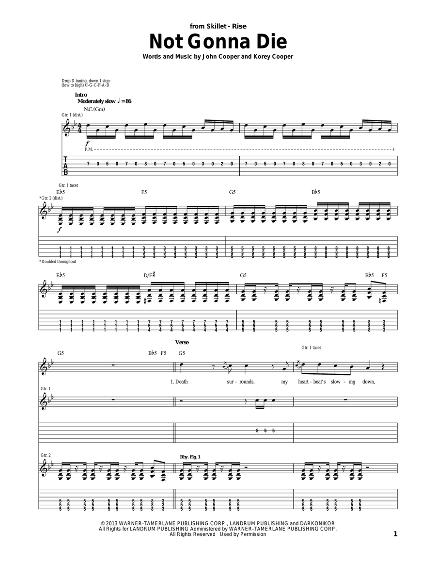 Not Gonna Die Acoustic Guitar scores gallery preview page 1