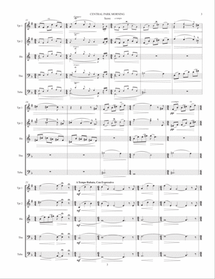 Central Park Morning ( for Brass Quintet ) Brass Quintet scores gallery preview page 3
