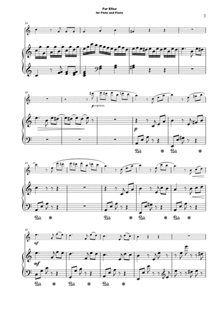 Für Elise, for Flute and Piano