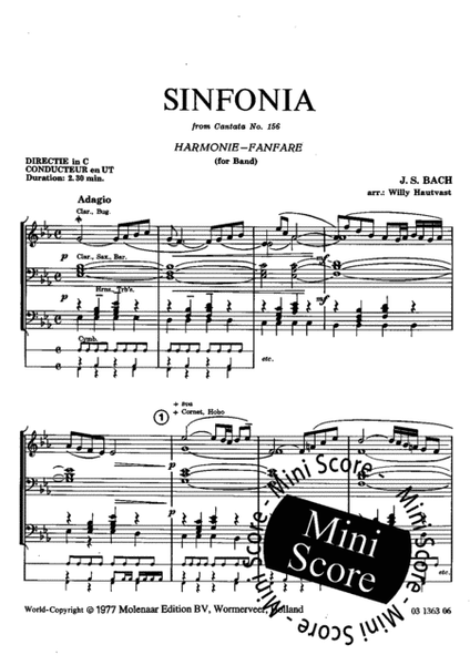 Sinfonia - Cantate 156
