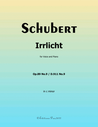 Book cover for Irrlicht, by Schubert, in c minor