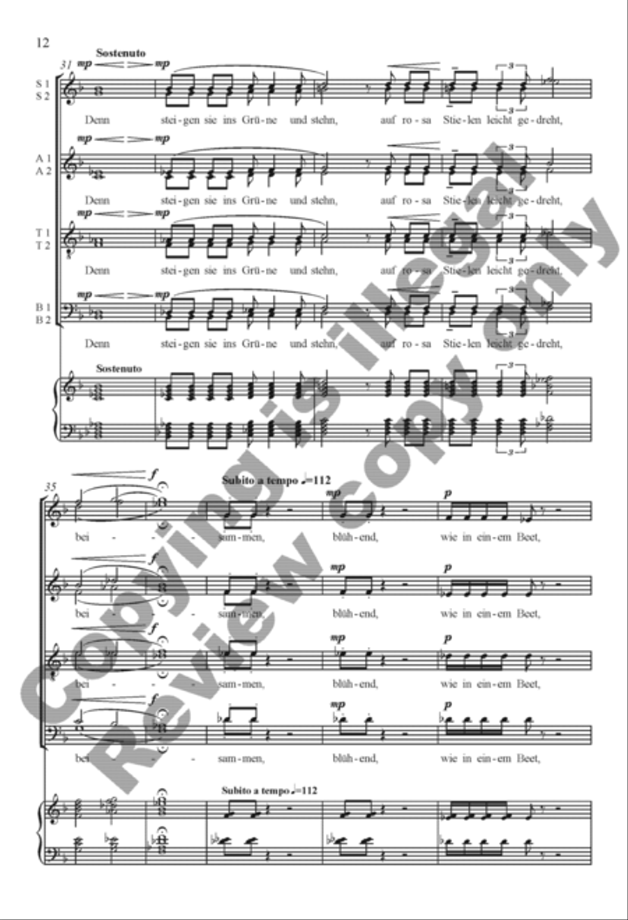 Rilke Songs: 3. Die Flamingos Divisi scores gallery preview page 28