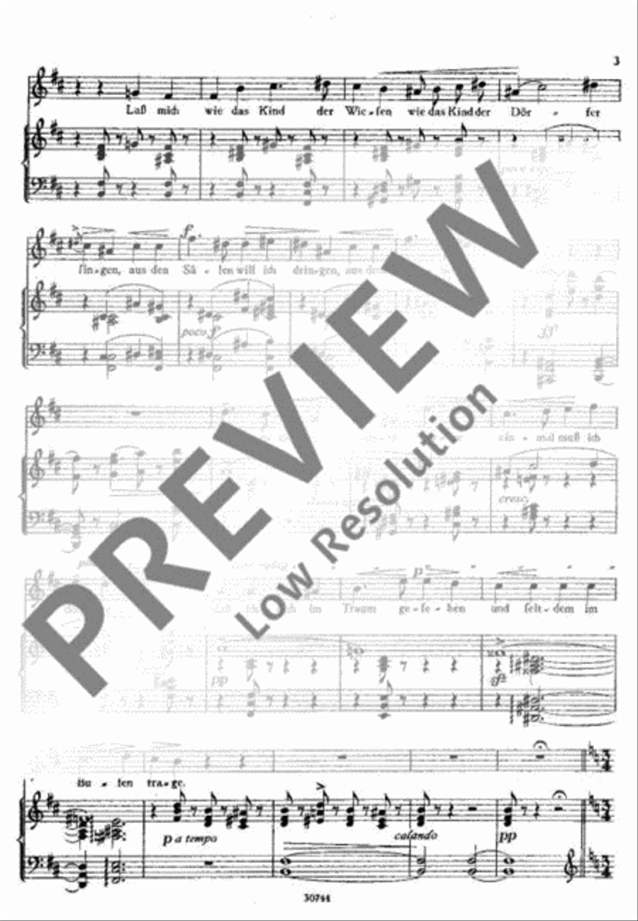 Sänge eines fahrenden Spielmanns Voice Solo scores gallery preview page 4