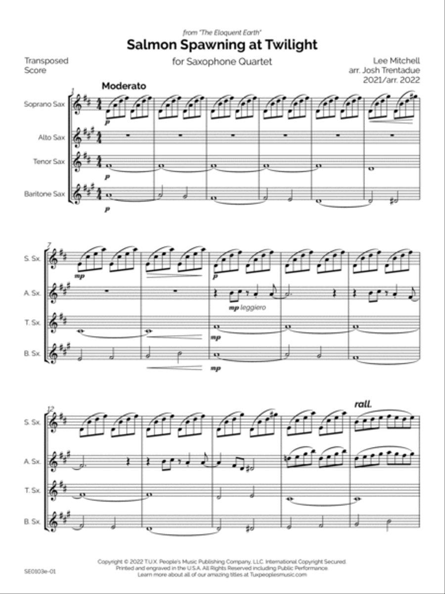 Salmon Spawning at Twilight Saxophone Quartet scores gallery preview page 4