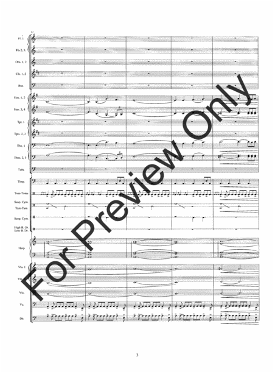 Warrior's Run String Orchestra scores gallery preview page 6