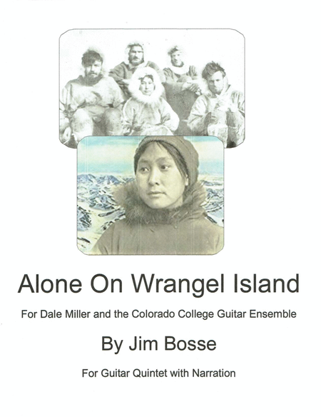 Alone on Wrangel Island image number null