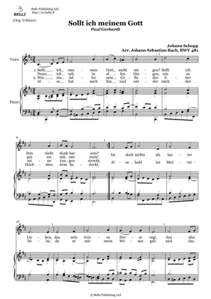 Book cover for Sollt ich meinem Gott, BWV 481 (B minor)