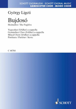 Book cover for Bujdosó - Bedrückung